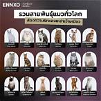 แมวเลขอะไร pantip